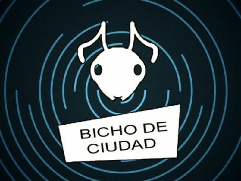 De la radio al escenario: celebran once años con música en vivo