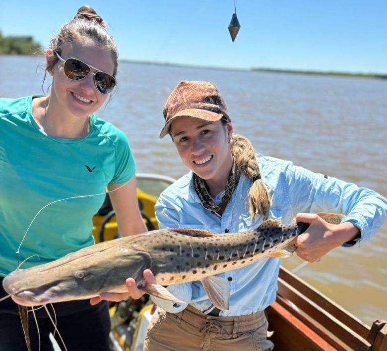 Santa Fe establece la veda para la pesca de surubí