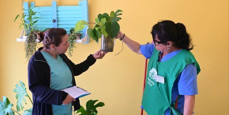 Dengue: detectaron el mosquito transmisor en ocho barrios santafesinos
