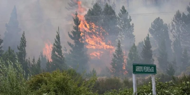 Investigan si el incendio que quemó más de 200 hectáreas en Chubut fue intencional