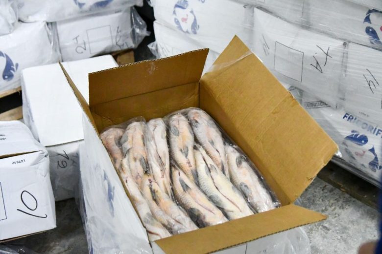 Para evitar el colapso ecológico, suspenderán por un año el acopio de pescado para exportación