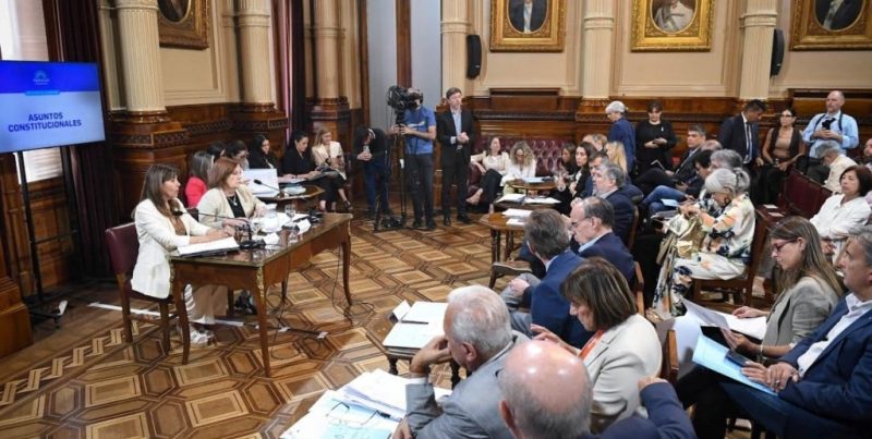 Impugnan los diplomas de una senadora libertaria y el Senado definirá sobre su asunción