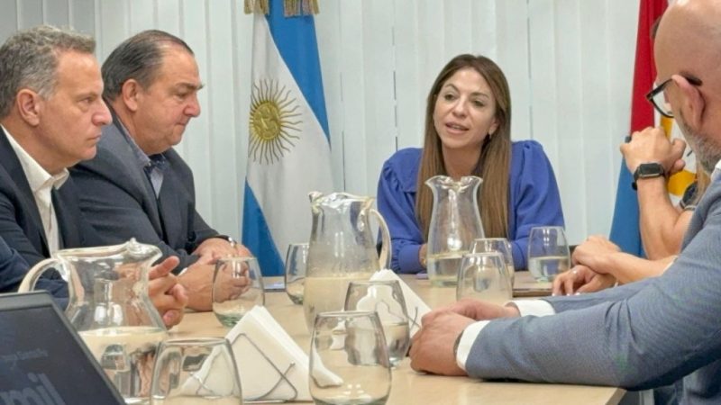 “Cortar la energía eléctrica en los asentamientos vulnerables no es la solución”, dice Anahí Rodríguez