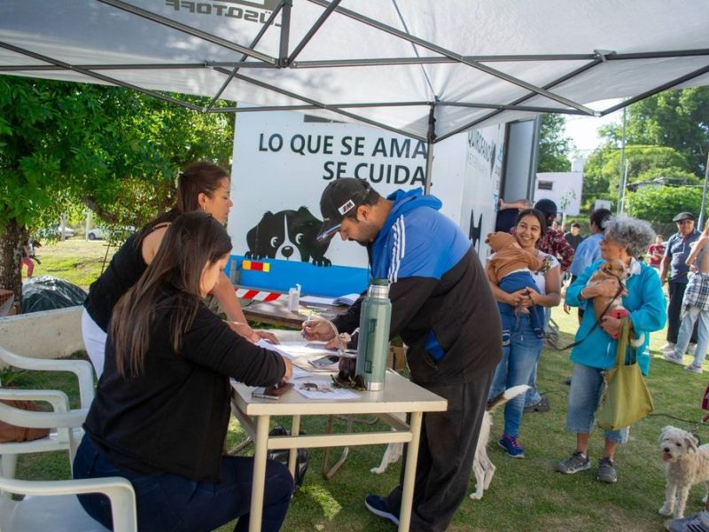 Se realizaron 60 castraciones gratuitas en una jornada en Victoria