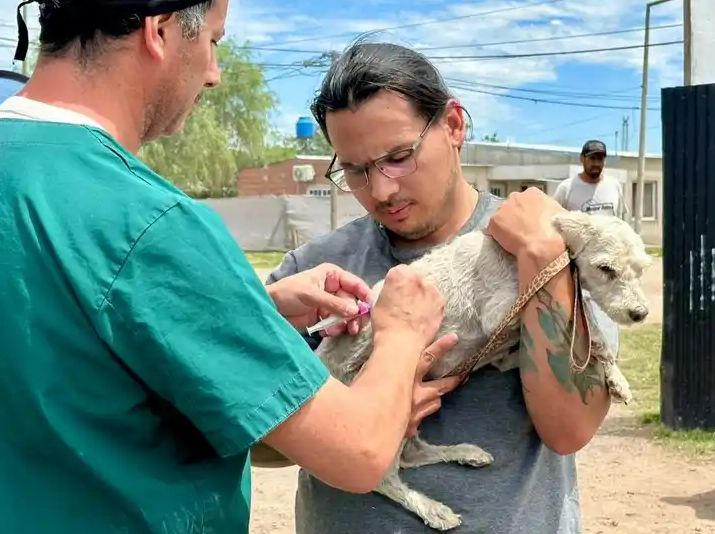 Venado Tuerto: convocan a veterinarios para fortalecer campañas de castración y vacunación