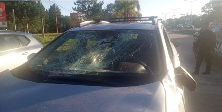 Siniestro vial en Ruta 1: una fiscal santafesina impactó contra un caballo y resultó ilesa