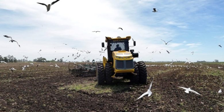 Ventas récord de maquinaria agrícola: fuerte inversión para la campaña 2024/25