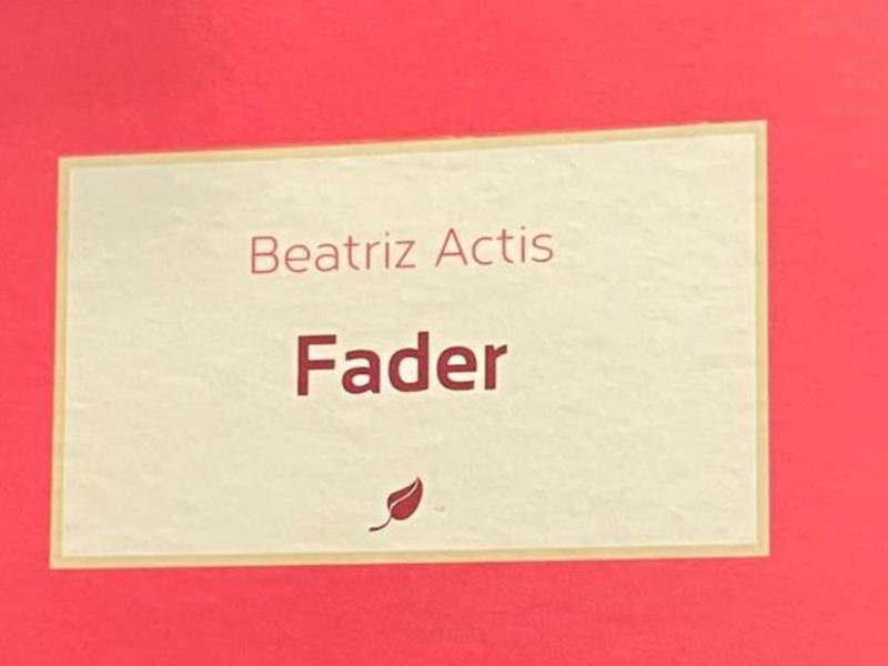 Poesía: Fader, de Beatriz Actis