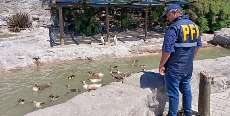 La Justicia allanó un parque marino de Mar del Plata por presunta contaminación