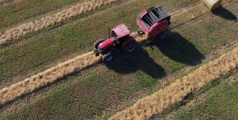 Rige la baja de retenciones para granos y subproductos: impacto en la siembra y comercialización