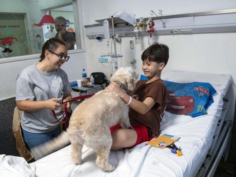 Rosario: dan inicio a la prueba piloto de ingreso de animales de compañía en el Hospital Vilela
