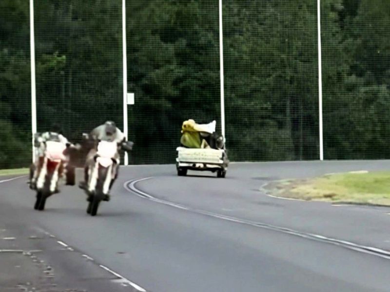 Iniciarán causas penales contra motociclistas que corrieron picadas en una ruta
