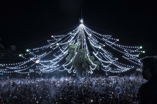 El arbolito de bv. Oroño y Pellegrini se ilumina para celebrar una nueva Navidad rosarina