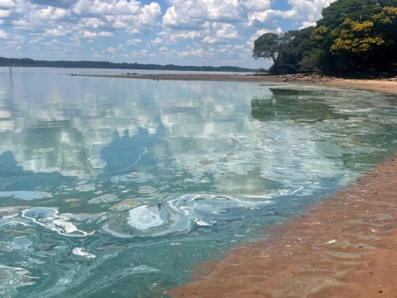 Cianobacterias en el río Uruguay: un problema que llama a la acción conjunta