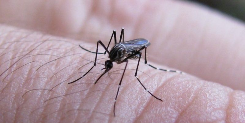Provincia y Municipio refuerzan la prevención del dengue en Rafaela