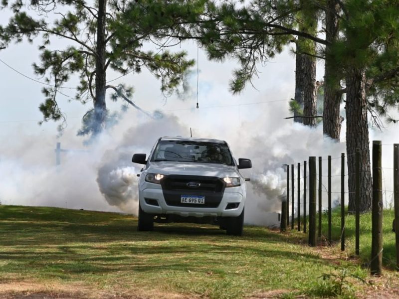 Colonia Mascías: refuerzan la prevención ante la proliferación de mosquitos