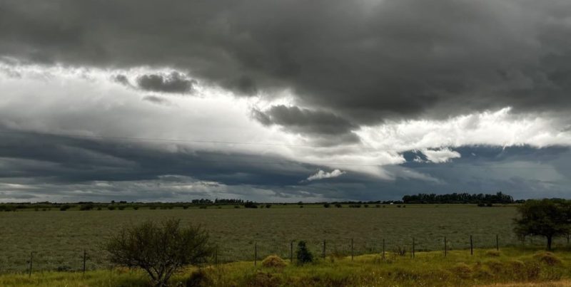 Santa Fe: clima extremo con calor, tormentas y descenso térmico desafía a la campaña de soja y maíz