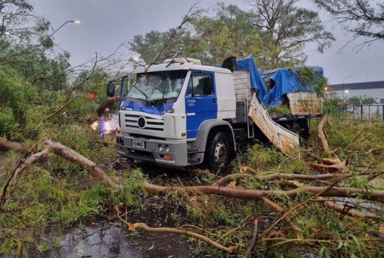 El norte sufre las copiosas lluvias: anegamientos, autoevacuados y un camión partido al medio por un eucalipto sobre la Ruta 11