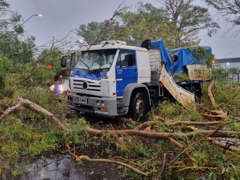 El norte sufre las copiosas lluvias: anegamientos, autoevacuados y un camión partido al medio por un eucalipto sobre la Ruta 11