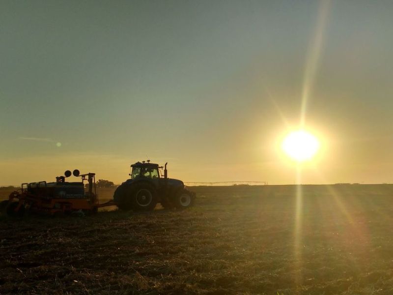Entre Ríos cuenta con el 3,23% de su superficie rural en manos extranjeras