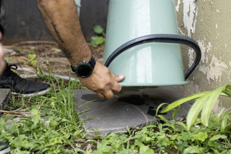 Entre Ríos y la lucha contra el dengue: reiteran la necesidad de descacharrizar