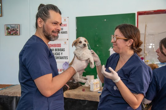 Nuevo Hospital Animal de Rosario: más atención, más complejidad y un modelo sanitario que crece