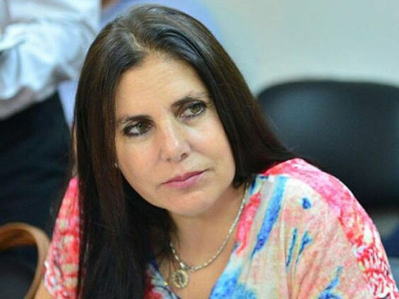 “La reforma previsional garantizará el 82% móvil” dijo la diputada Lena