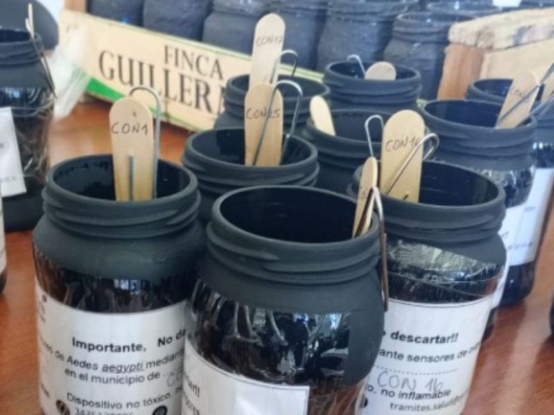Monitoreo de ovitrampas y operativos de desacacharrización en Paraná