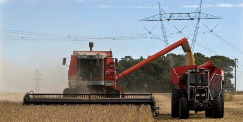 Maíz, trigo y girasol impulsan la campaña 2025/26 a la mayor cosecha de granos de la historia