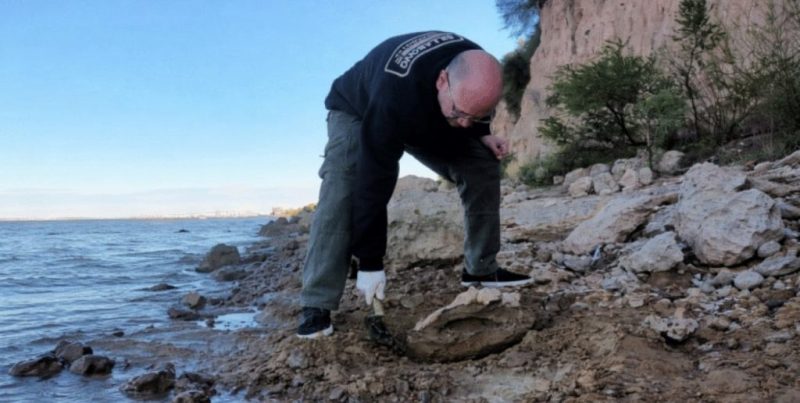 Capitán Bermúdez: rescataron restos fósiles de megafauna extinta