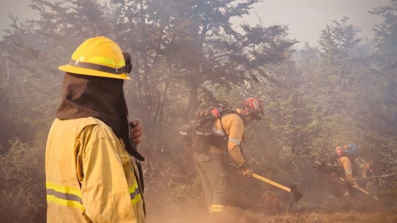 Brigadistas santafesinos ya combaten los incendios forestales en Puerto Patriada