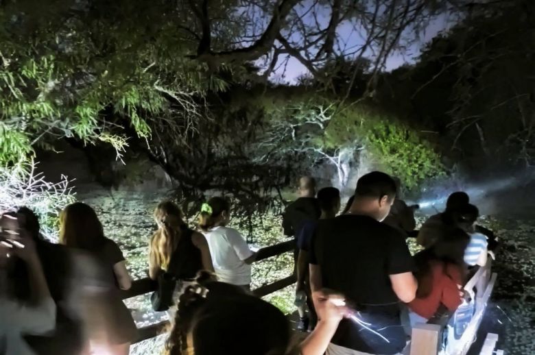 Noches inolvidables en la Reserva Municipal La Chinita