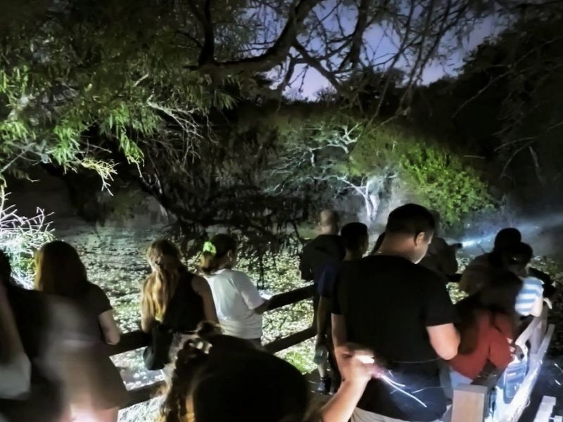 Noches inolvidables en la Reserva Municipal La Chinita