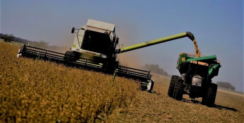 Agroindustria: altos costos restan competitividad a la producción argentina