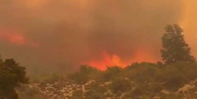 Desde Chubut, brigadistas santafesinos detallan su labor contra los incendios forestales