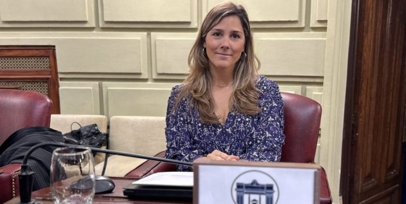 Cámara de Diputados de Santa Fe dio media sanción al proyecto de Salud Mental Perinatal de Ximena García