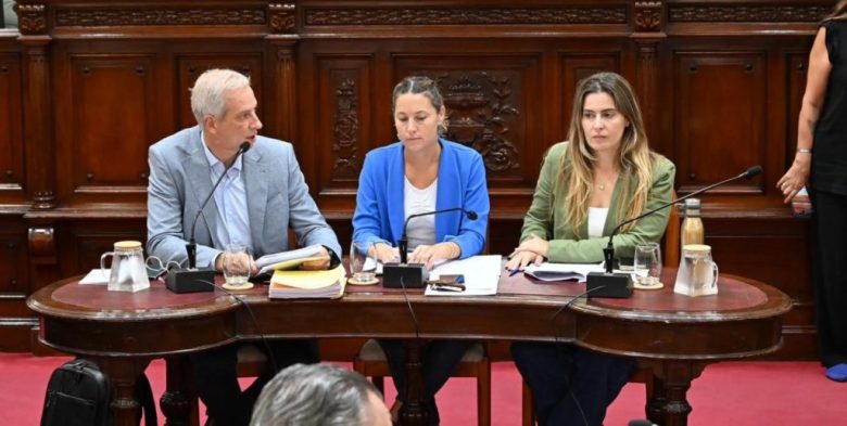 La futura Ley Orgánica de Municipios de Santa Fe: Diputados acordó dictaminarla el 8 de abril