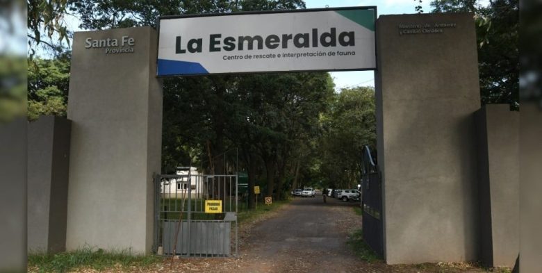 Animales silvestres sueltos en el Barrio La Esmeralda de Santa Fe por el avance de las obras de urbanización