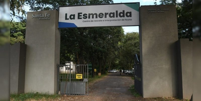 Animales silvestres sueltos en el Barrio La Esmeralda de Santa Fe por el avance de las obras de urbanización