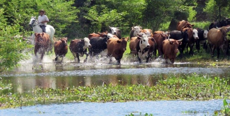 18 de marzo: El sector agropecuario celebra el Día del Ruralista Argentino con reconocimiento a su trabajo