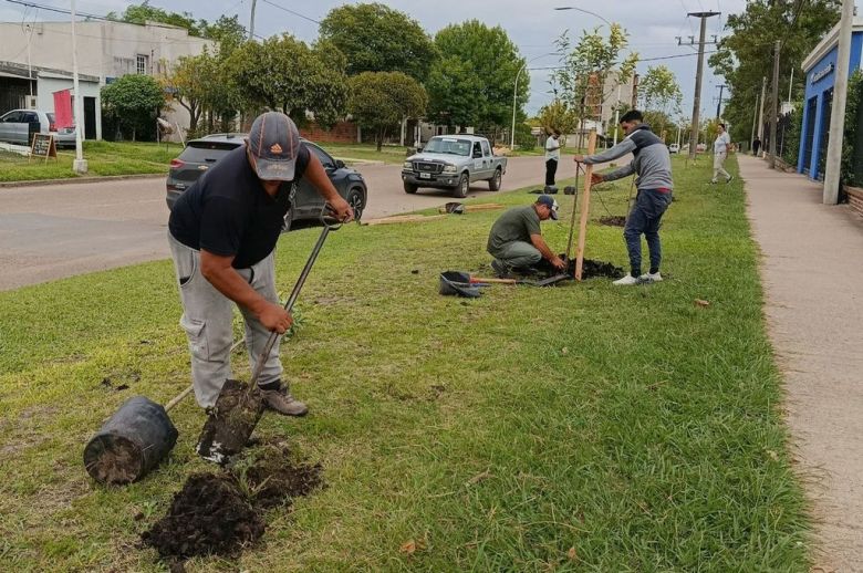 Programa de arbolado en Villaguay, con la meta de plantar mil árboles