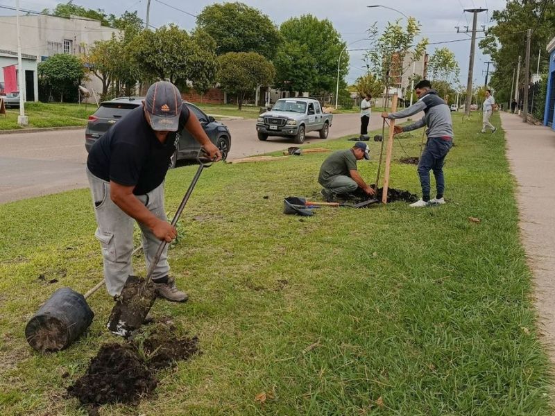 Programa de arbolado en Villaguay, con la meta de plantar mil árboles
