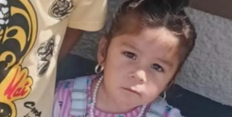 Activaron Alerta Sofía por la desaparición de una nena de dos años en Cosquín