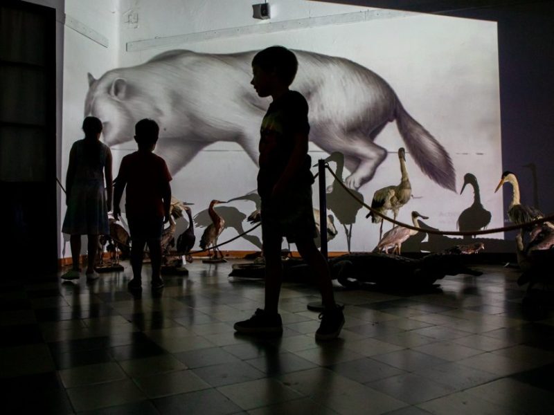 Museo Serrano de Paraná abre su Reserva Técnica en el marco del 20° aniversario de la Ley de Patrimonio