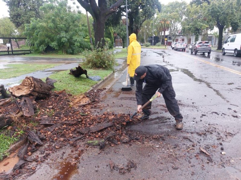 Temporal en Rosario: más de 120 mm de lluvia y alerta por fuertes vientos