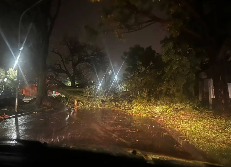 Rafaela: árboles caídos y algunas calles anegadas