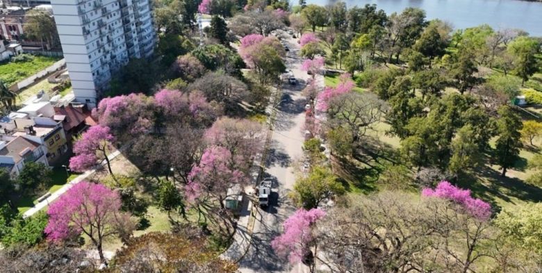 Santa Fe: la Municipalidad avanza con el plan de arbolado para una ciudad más verde en 2026