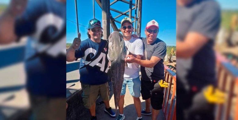 Experto santafesino detalla por qué aparecen surubíes de gran porte en el río Salado