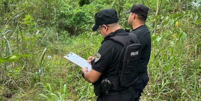 Hallaron restos óseos en Misiones, a la vera de la Ruta 12