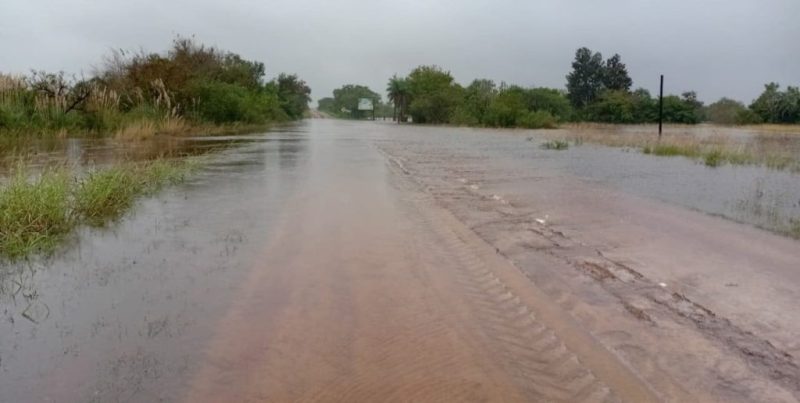 Apicultura en riesgo en el norte de Santa Fe por anegamientos y lluvias intensas
